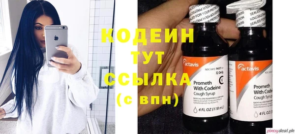 не бодяженный Бородино