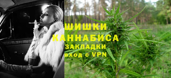 не бодяженный Бородино