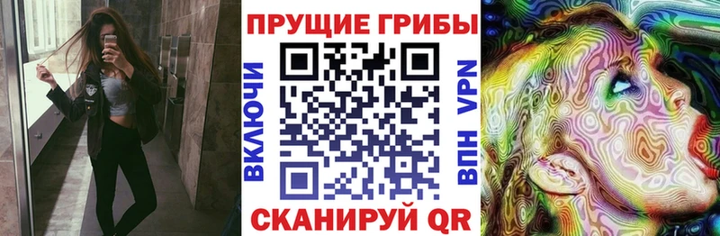blacksprut ТОР  Иркутск  Псилоцибиновые грибы GOLDEN TEACHER 